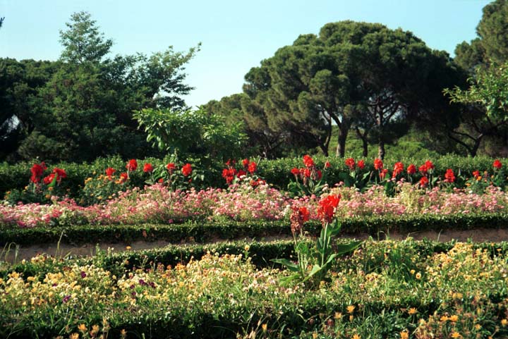 20000617-5-03-Huelva-Flower-Garden (117K)